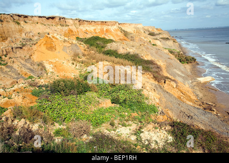 Rapid coastal erosion, Walton on the Naze, Essex, England Stock Photo