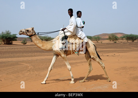Two Nubian boys dressed in thawbs riding dromedary camel (Camelus dromedarius) in the Nubian desert of Sudan, North Africa Stock Photo