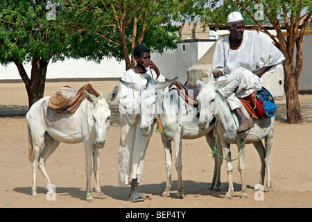Nubian man in thawb / thobe / dishdasha on donkey (Equus asinus), Sudan, North Africa Stock Photo