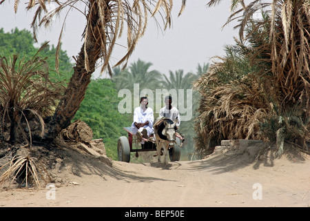 Two Nubian men dressed in thawbs / thobes / dishdashas on cart pulled by donkey (Equus asinus), Sudan, North Africa Stock Photo