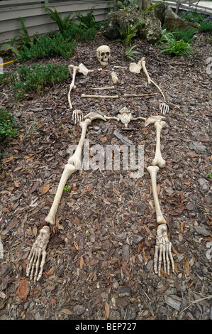 Skeleton lying on the ground Stock Photo, Royalty Free Image: 37208031 ...