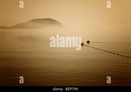 On a quiet, foggy morning, reefnet buoys extend out from the salmon fishing gear towards Cyprus Island in the San Juan Islands. Stock Photo