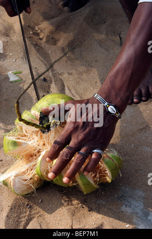 Close up of black man opening coconut (Cocos nucifera) with machete, Lome, Togo, West Africa Stock Photo