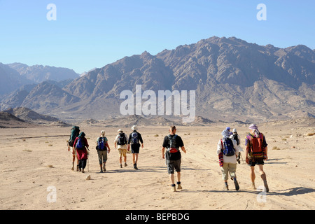 A group of people walking in the Sinai desert towards mount Sinai Stock Photo