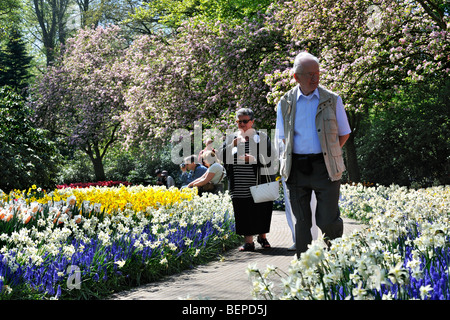 Elderly tourists walking among colourful hyacinths and daffodils in flower garden of Keukenhof, Lisse, Holland, the Netherlands Stock Photo