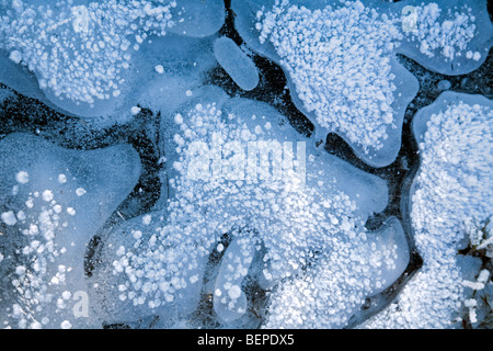 Air bubbles trapped in ice of frozen lake in winter Stock Photo