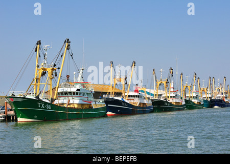 Trawler fishing boats in the harbour of Oudeschild, Texel, the Netherlands Stock Photo
