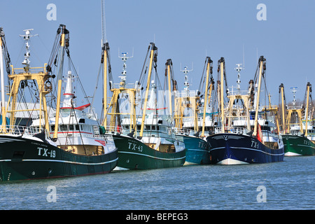 Trawler fishing boats in the harbour of Oudeschild, Texel, the Netherlands Stock Photo