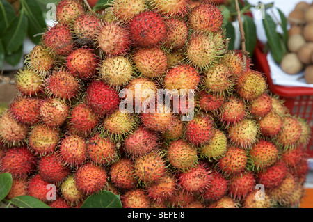 VIETNAM Saigon fruit market. Lychees on sale. photograph by Sean Sprague 2008 Stock Photo