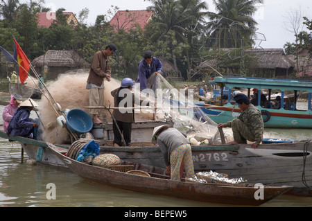 VIETNAM Fishermen taking small fish from nets, Hoi An. photo by SEAN SPRAGUE Stock Photo