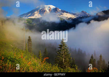 Mount Rainier in the fog Stock Photo