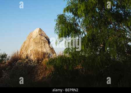 Rockformation and Honey Mesquite tree (Prosopis glandulosa), Rio Grande Valley,Texas, USA Stock Photo