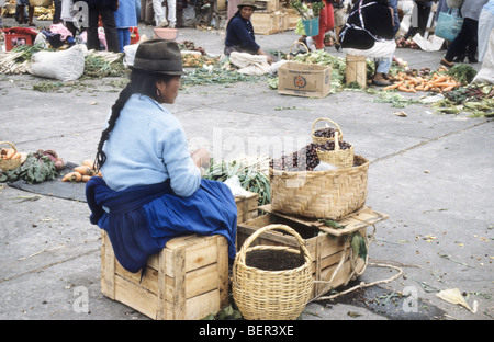Woman in traditional inca dress selling dark berries from large wicker basket.  Local market upland ecuador. Stock Photo