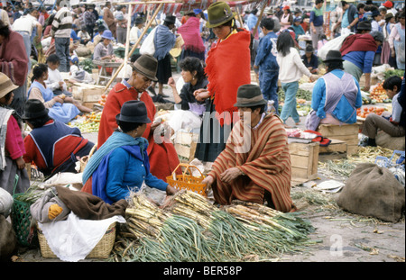 Group of traditionally dressed leek sellers large pile of long stemmed leeks talking.  Ecuadorian highlands local market. Stock Photo