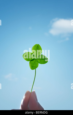 Woman holding  Four-leaf clover Stock Photo