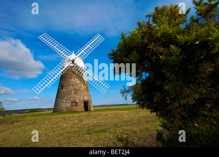 The eighteenth century Halnaker Windmill overlooking Chichester, Sussex UK on Halnaker Hill Stock Photo