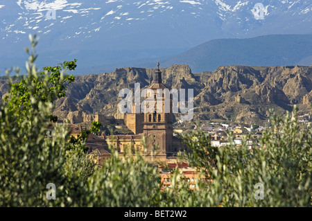 Cathedral of Guadix. El Marquesado area. XVIth century. Granada. Spain. Stock Photo