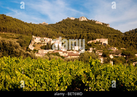 Vineyard with old town of Gigondas beyond, Gigondas Provence France Stock Photo