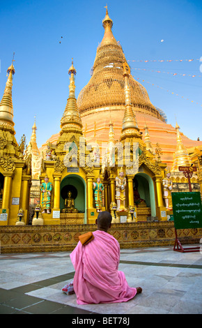 Young Lady monk praying at the Shwedagon Paya, the most sacred buddhist temple in Myanmar, Yangoon, Myanmar. Stock Photo