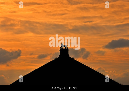 Lion Hill / Lion's Mound memorial monument of the 1815 Battle of Waterloo silhouette at sunset, Eigenbrakel, Brussels, Belgium Stock Photo