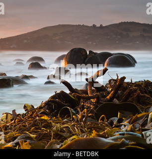 Sunrise over the Moeraki Boulders, Koekohe Beach, New Zealand Stock Photo