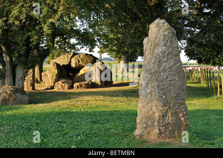Megalithic Grand Dolmen de Wéris and menhir made of conglomerate rock, Belgian Ardennes, Luxembourg, Belgium Stock Photo