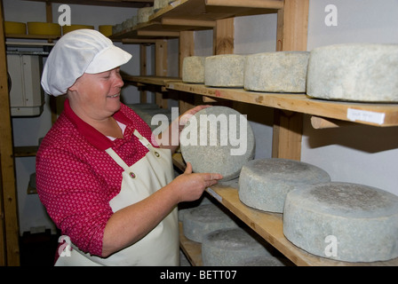 Karen Hindle, artisan cheesemaker, with Little Hereford cheeses. Monkland Cheese Dairy, near Leominster, Herefordshire, England. Stock Photo