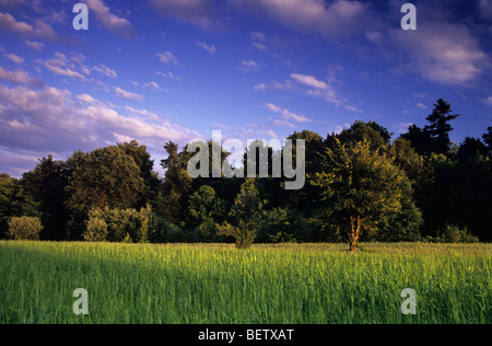 Picturesque Polish Organic Farm Stock Photo