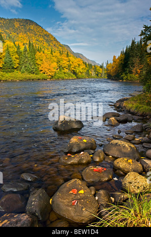 Riviere Jacques-Cartier, Jacques-Cartier River, during fall in Parc de la Jacques-Cartier, Quebec, Canada. Stock Photo