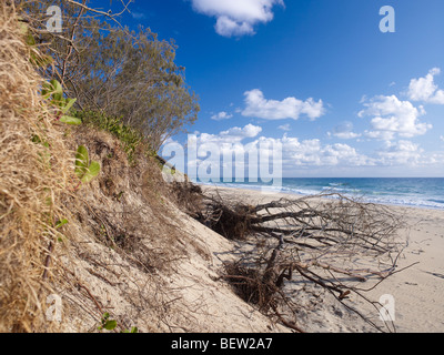 Beach erosion on Rainbow Beach Queensland Australia from rising sea levels Stock Photo
