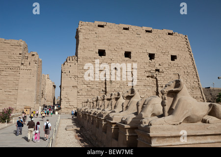 Row of Ram-headed Sphinxes at Karnak Temple, Luxor, Egypt Stock Photo