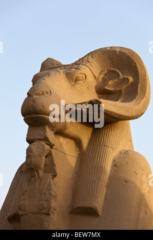 Row of Ram-headed Sphinxes at Karnak Temple, Luxor, Egypt Stock Photo