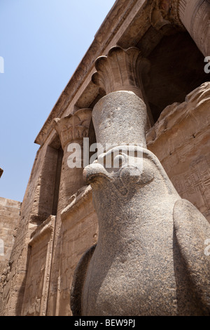 Horus Falcon Statue at Temple of Horus in Edfu, Edfu, Egypt Stock Photo