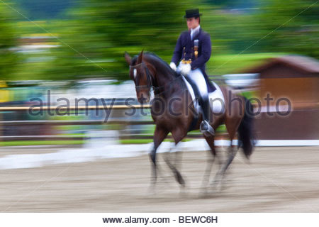 Sport Sports Male Dressage Rider and Rearing Horse in Arena Stock Photo ...