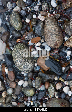 Stones and Pebbles on the beach at the Lizard Peninsular, Cornwall, South West England Stock Photo