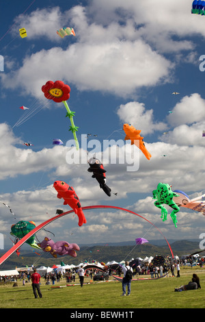 Kites at the time of the 'Cervolix' Air Festival (Auvergne - France). Cerfs-volants lors du festival aérien 'Cervolix' (France). Stock Photo