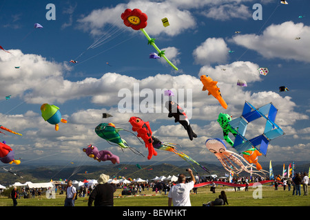 Kites at the time of the 'Cervolix' Air Festival (Auvergne - France). Cerfs-volants lors du festival aérien 'Cervolix' (France). Stock Photo