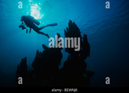 Scuba diver explores coral reef. Sinai, Egypt - Red Sea Stock Photo