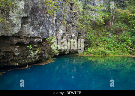 Blue Spring (on the Current River), Blue Spring Natural Area, Ozark National Scenic Riverways, Missouri Stock Photo