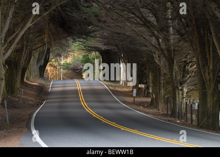 California 1 near Fort Bragg, California. Stock Photo