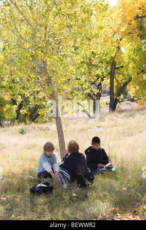 School Boys Reading Under A Tree Saiapet Model Government School 