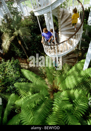 UK, England, London, Kew Gardens, Temperate House spiral stairs from the balcony Stock Photo