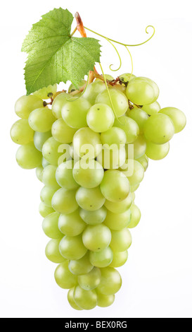 Grape in a white background Stock Photo