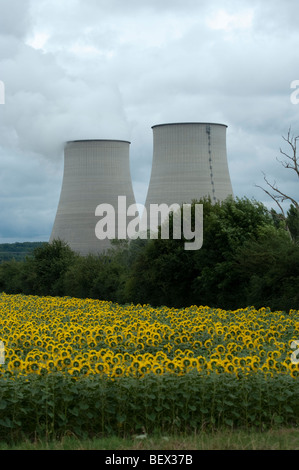 Field of sunflowers beside cooling towers of nuclear power station,Belleville-Sur-Loire, Cher, France. Stock Photo