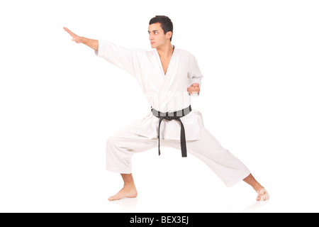 Young man practicing karate skills, isolated on white background Stock Photo
