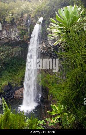 Chaina Falls - Aberdare National Park, Kenya Stock Photo