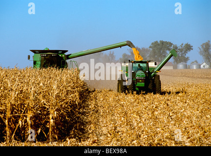 A John Deere combine harvests grain corn while augering the harvested corn into a grain wagon “on-the-go” / Illinois, USA. Stock Photo