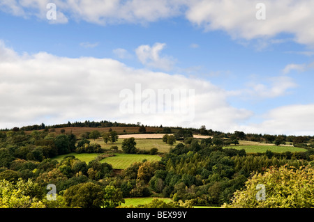 Rural scene with rolling hills and different coloured fields taken from Llangynidr, Mid Wales Stock Photo