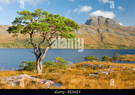 Loch Maree and Slioch mountain Wester Ross Scottish Highlands  SCO 5412 Stock Photo