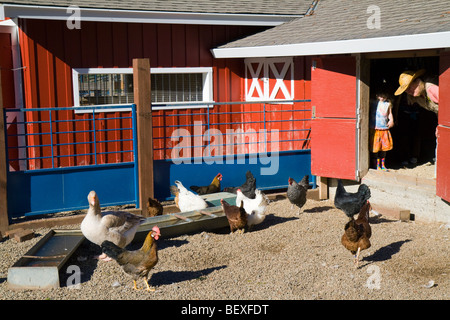 A park ranger shows a girl the fowl enclosure at the Little Farm (petting zoo) of Tilden Regional Park, Berkeley, California. Stock Photo